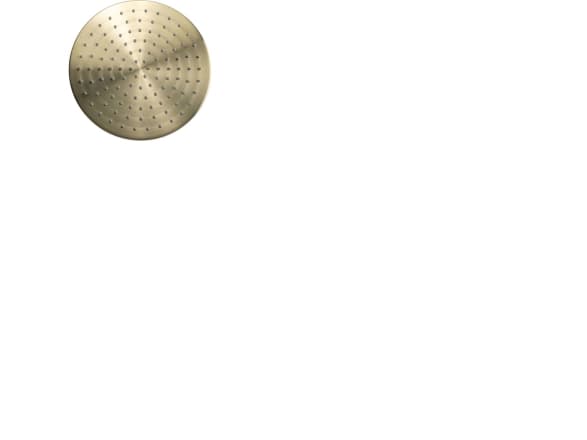 BLUE LABEL 1/2" hovedbruser Ø250 mm - børstet guld