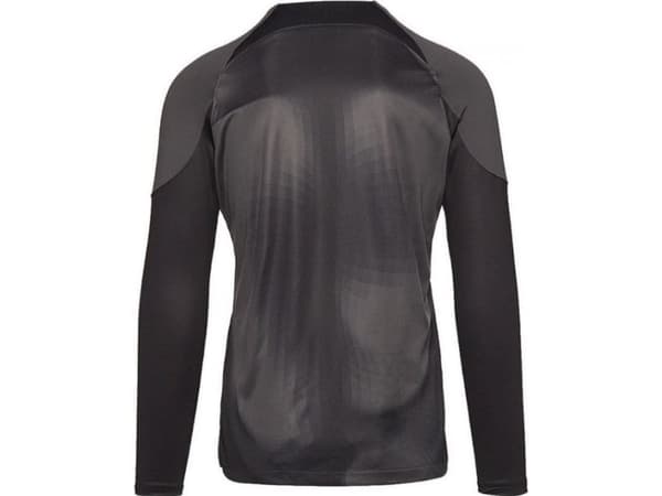 Nike Bluza Nike Gardien IV Goalkeeper JSY DH7967 060