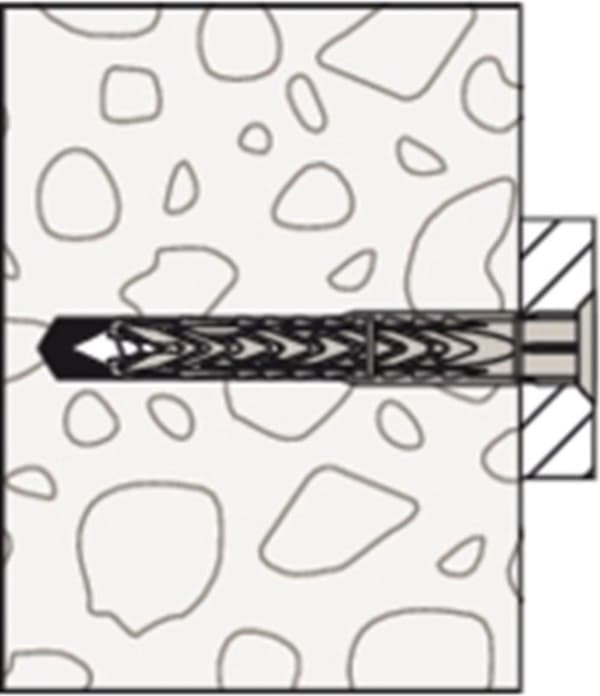 Fischer långskaft stift 100 mm 10 mm 522699 50 st (522699)