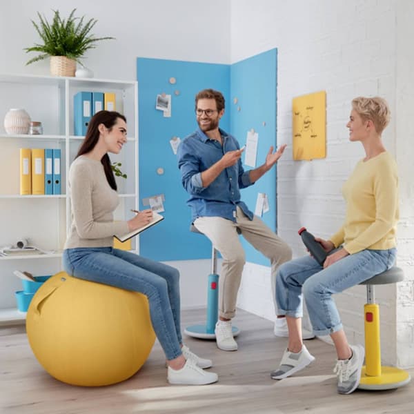Leitz 52790089 Leitz ergo Cosy sittboll 1 st
