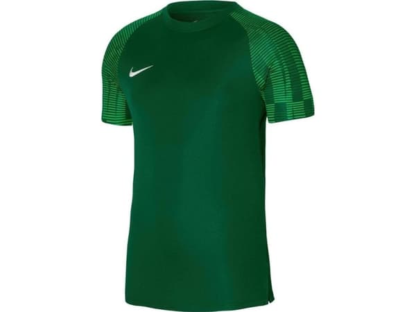 Nike Dri-Fit Academy T-paita DH8031 302