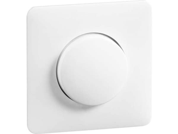 PEHA by Honeywell Afdækning Afdækning 151113 1 stk