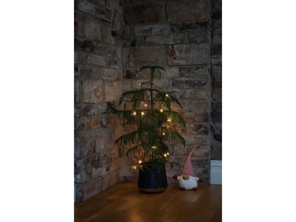 Konstsmide 1408-500, Kjede, Grønn, Plast, Polyvinylklorid (PVC), IP20, 6 timer, Grønn