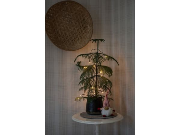 Konstsmide 1408-500, Kjede, Grønn, Plast, Polyvinylklorid (PVC), IP20, 6 timer, Grønn