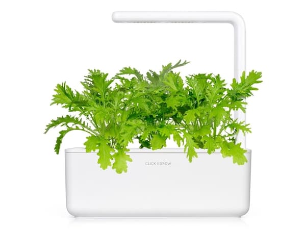 Click &amp; Grow siemenet Smart Pot - Sinappi (SGR34X3) 3kpl.
