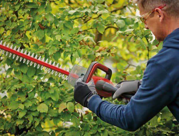 Einhell GC-CH 18/50 Li-Solo Power X-Change batteri hækkeklipper uden batteri, uden lader, blødt håndtag Li-Ion 550 mm (3410945)