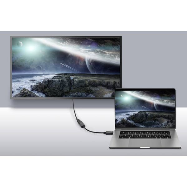Renkforce RF-5596324 DisplayPort / HDMI Adapter [1x DisplayPort hane - 1x HDMI hona] Svart 4K UHD 23 cm