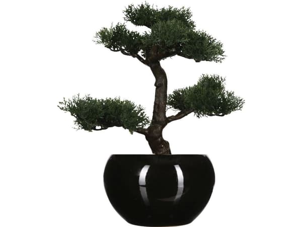 Atmosphera Bonsai puu sortj ruukussa 36 cm