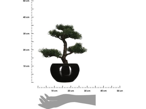 Atmosphera Bonsai puu sortj ruukussa 36 cm