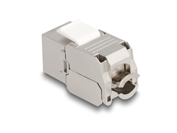 Delock - Trapetsjack - CAT 6a - RJ-45, LSA - vit, silver