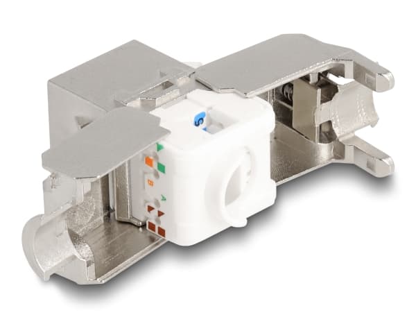 Delock - Trapetsjack - CAT 6a - RJ-45, LSA - vit, silver