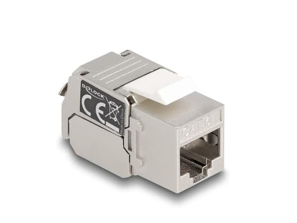 Delock - Trapetsjack - CAT 6a - RJ-45, LSA - vit, silver
