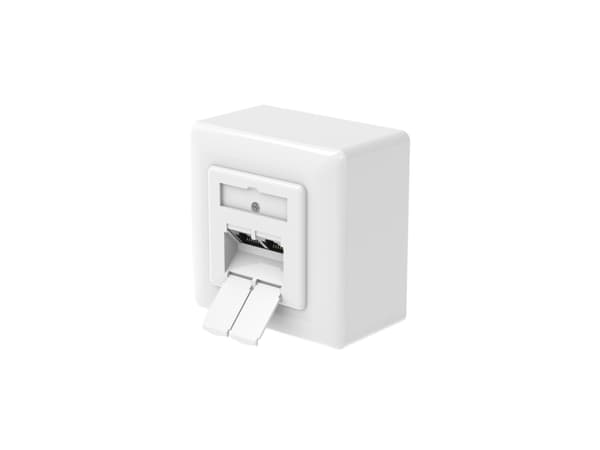 Hama 00300029, 2 x RJ-45, 6a, Skruvar, Vit, 1 styck Vit
