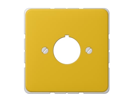 JUNG 564 GE, Gul, Duroplast, JUNG