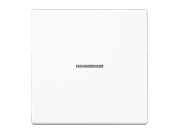 JUNG LS101KO5WW, Plast, Skruvlös, 1 styck