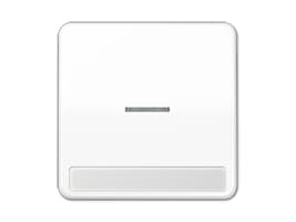 JUNG CD 590 NAKO5 WW, Valkoinen, 4071.02 LED, 4071.01 LED, IP44