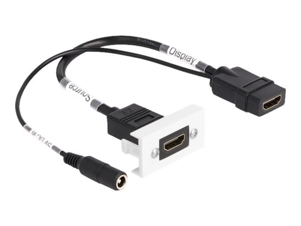 Delock - Easy 45 - snäppbar modul - with DC feed 2.1 x 5.5 mm and pigtail, 22.5 x 45 mm - HDMI - 1 audio / video socket - svart, vit