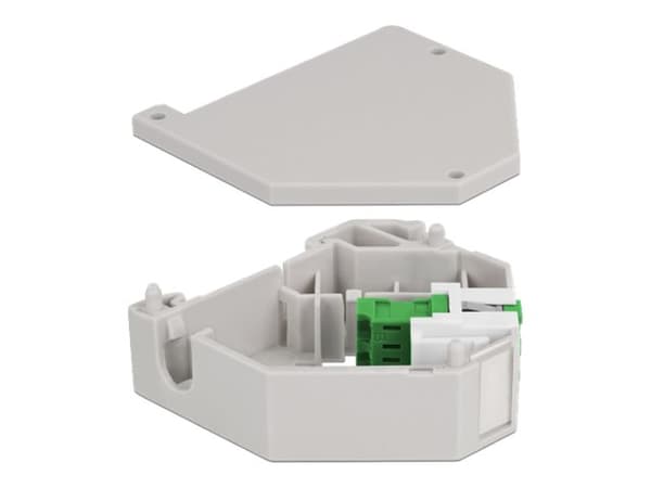 Delock - DIN-skinnemonteringsadapter for keystone-jakk - LC Duplex - grønn
