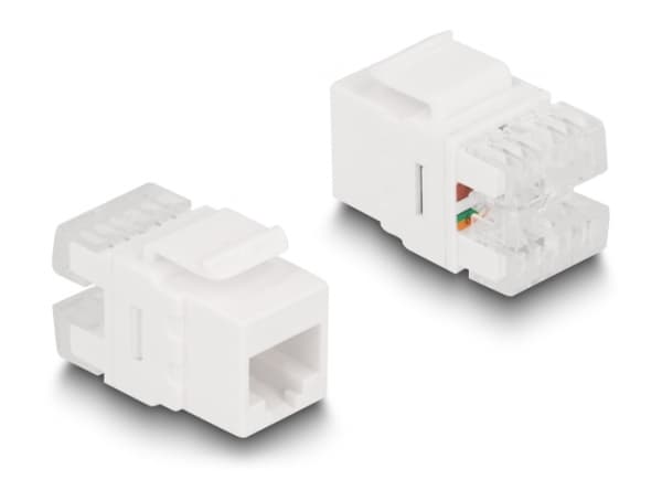 Delock - Modular insert holder - keystone LSA set, with clip-on holder - CAT 6 - RJ-11, RJ-45 - svart