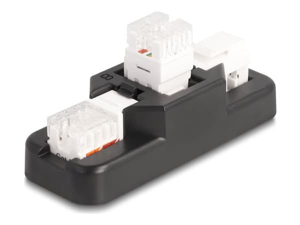 Delock - Modular insert holder - keystone LSA set, with clip-on holder - CAT 6 - RJ-11, RJ-45 - svart
