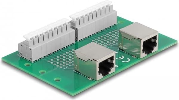 Delock RJ45 2 x uttag till 2 x plint med tryckknapp för DIN-skena (66994)