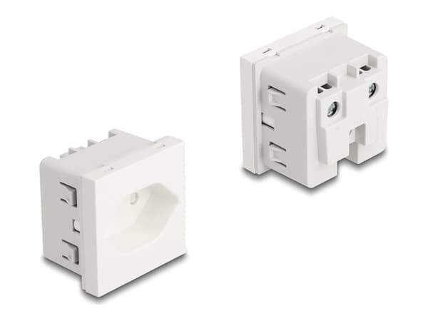 Delock - Easy 45 - eluttag - jordad, 45 x 45 mm - 2P - Typ 13 - med fönsterluckor - 1 eluttag - 10 A - AC 250 V - vit, RAL 9003 Vit