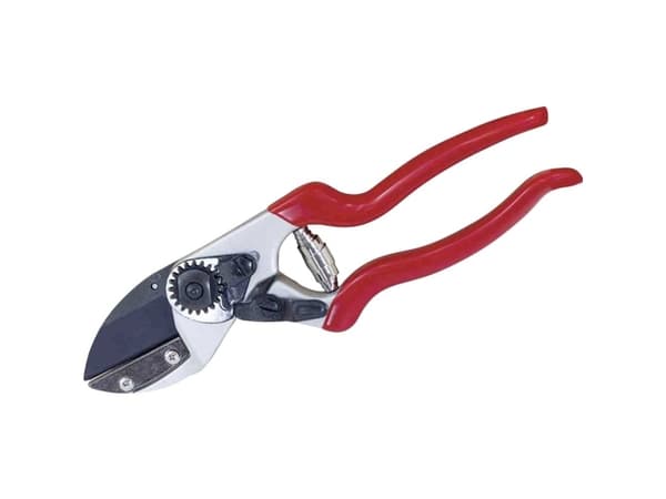 Siena Garden CG1090 Græsklipper 21 cm Ambolt