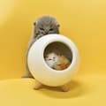 Miniatyrbild 3 av 11: Nattlampa USB