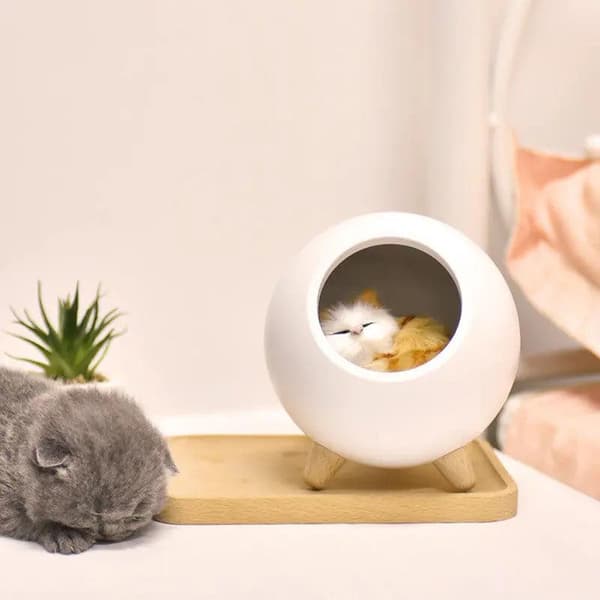 Nattlampa USB