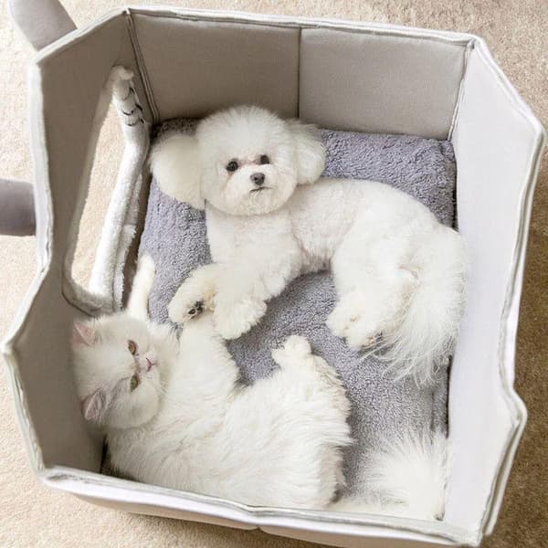 Hus för katt / Hund