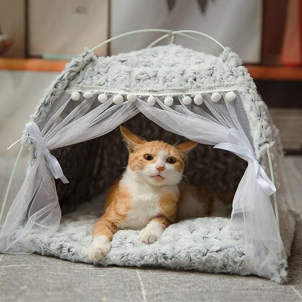Kattbädd