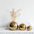 Miniatyrbild 3 av 11: Vas Guld