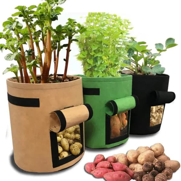 Planteringsskruka med fönster Green 23x28 (5gal)