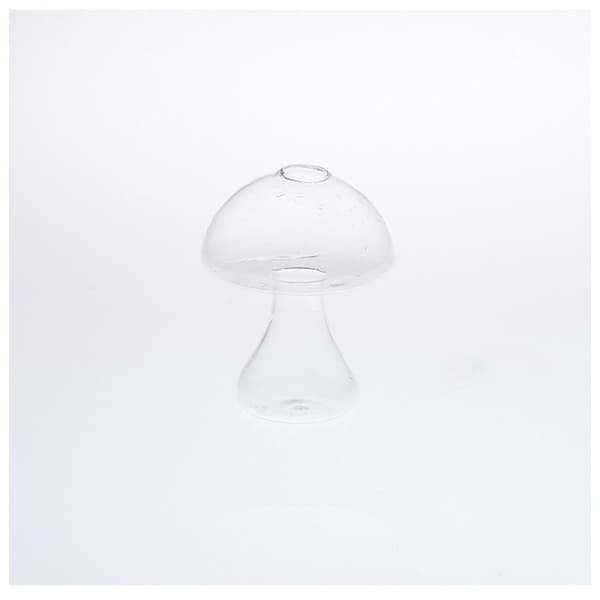 Glas Svamp