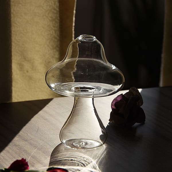 Glas Svamp