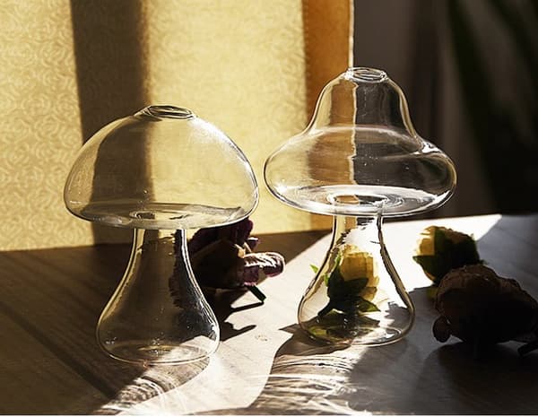 Glas Svamp