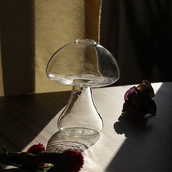 Glas Svamp