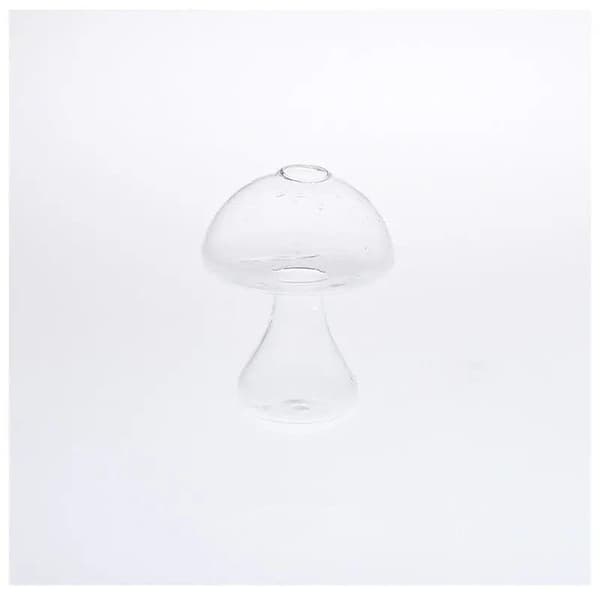 Glas Svamp