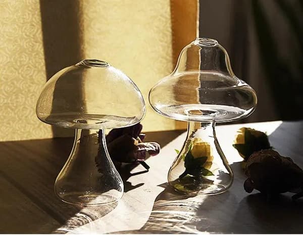 Glas Svamp