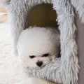 Miniatyrbild 4 av 11: Hus för katt / Hund