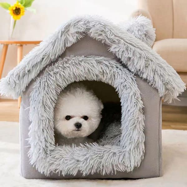 Hus för katt / Hund