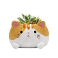 Miniatyrbild 3 av 4: Kruka katt