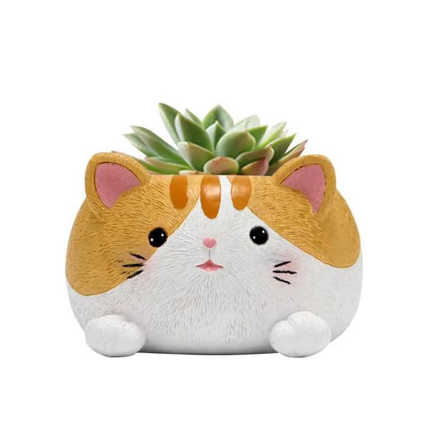 Kruka katt