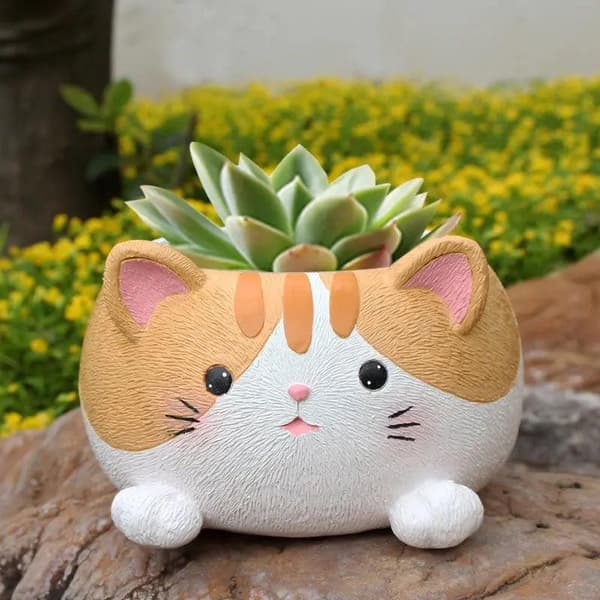 Kruka katt