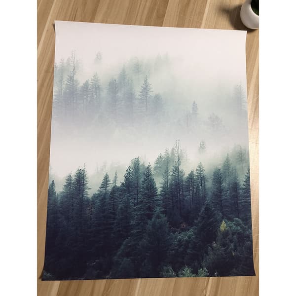 Canvas Poster Skog