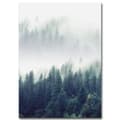 Miniatyrbild 7 av 11: Canvas Poster Skog