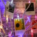 Miniatyrbild 5 av 11: LED ljusslinga för fotografier
