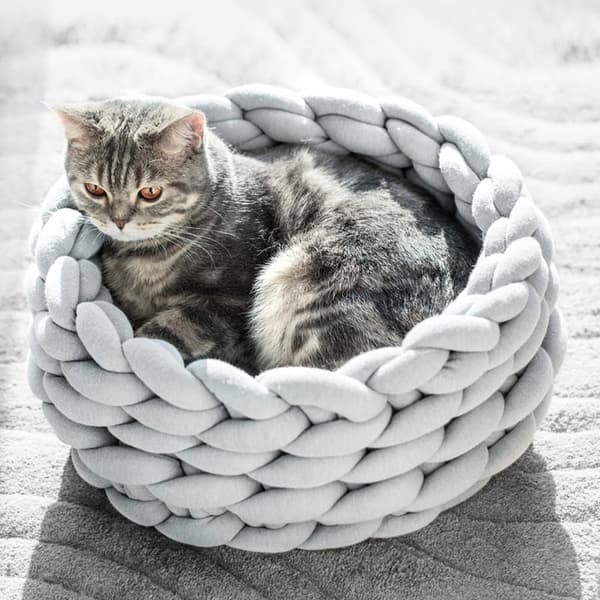 Katt / Hundbädd