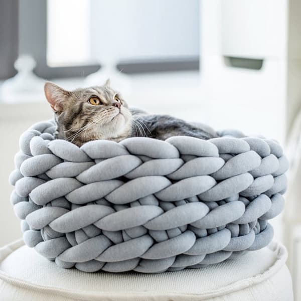 Katt / Hundbädd