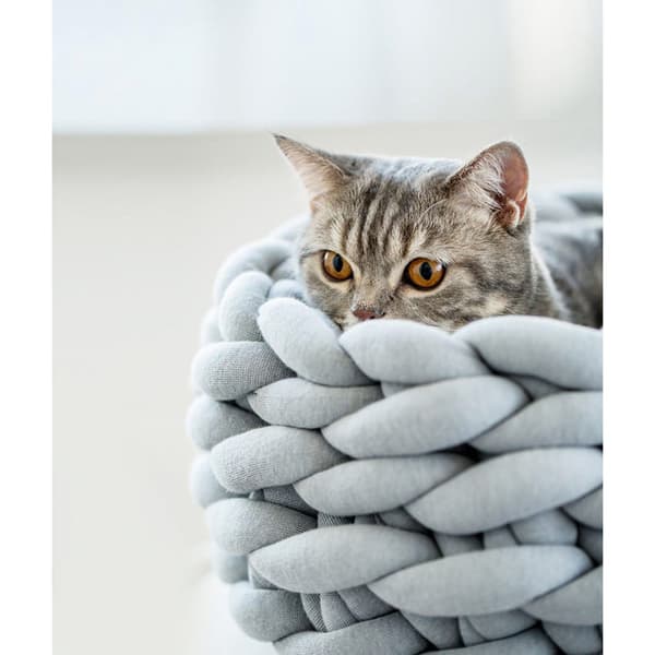 Katt / Hundbädd